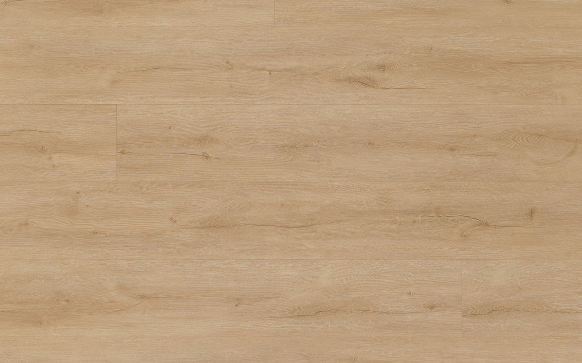LVT Wood 2,5 mm Klebevinyl im Holzdekor Aventurin