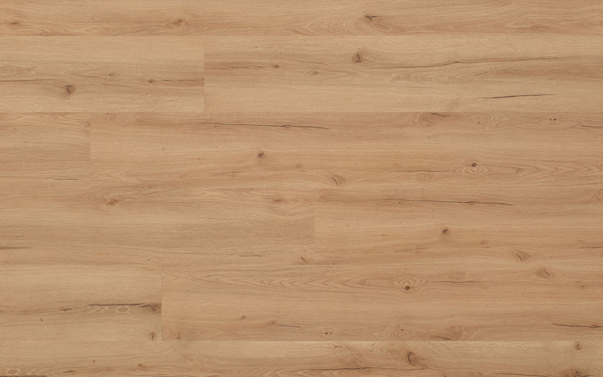 SPC Wood XXL 6,5 mm Klickvinyl im Holzdekor Achat